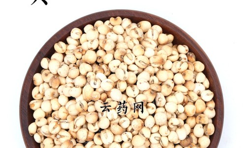 肾水宝的功效与作用是什么-肾水宝的功效与作用是什么,中国肾水宝的功效与作用网站